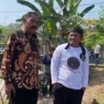 KETUA DPD JARINGAN MILITAN GANJAR PROVINSI BANTEN MENDAMPINGI KETUA DEWAN PENGARAH PUSAT FX HADI RUDYATMO, DALAM KEGIATAN PANEN PERDANA MELON GOLDEN, PETANI BINAAN DPCJARITANGAN KOTA CILEGON