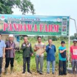 Dalam Rangka Menguatkan Ketahanan Pangan,Ketua DPC Abpednas Kabupaten Tangerang, Surpay lokasi Tanam Pandawa Farm